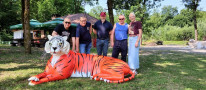 tigar21