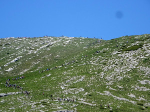 DSC09482