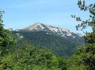04102026 sadikovac